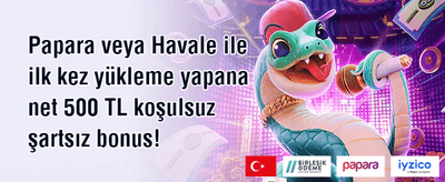 Popüler Slotlar Bedava Spin promotion