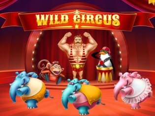 Wild Circus thumbnail
