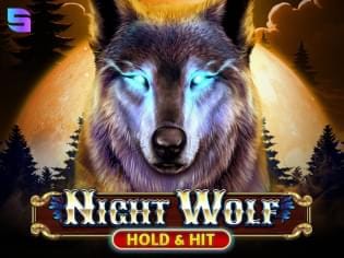 Night Wolf - Hold & Hit thumbnail