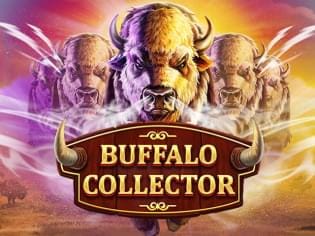 Buffalo Collector thumbnail