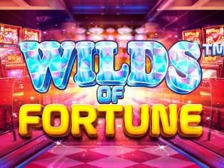 Wilds Of Fortune thumbnail